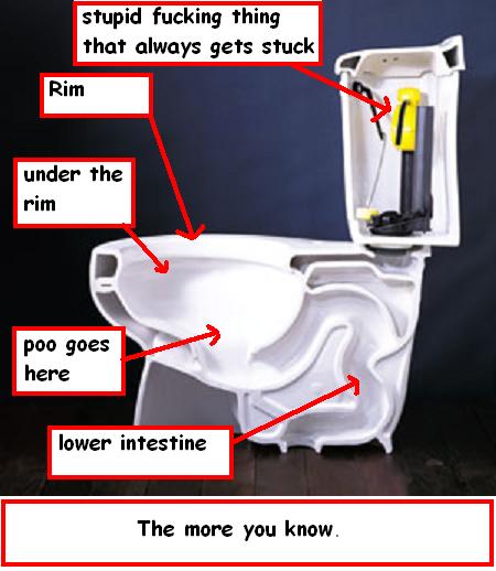 Toilet Cross Section View