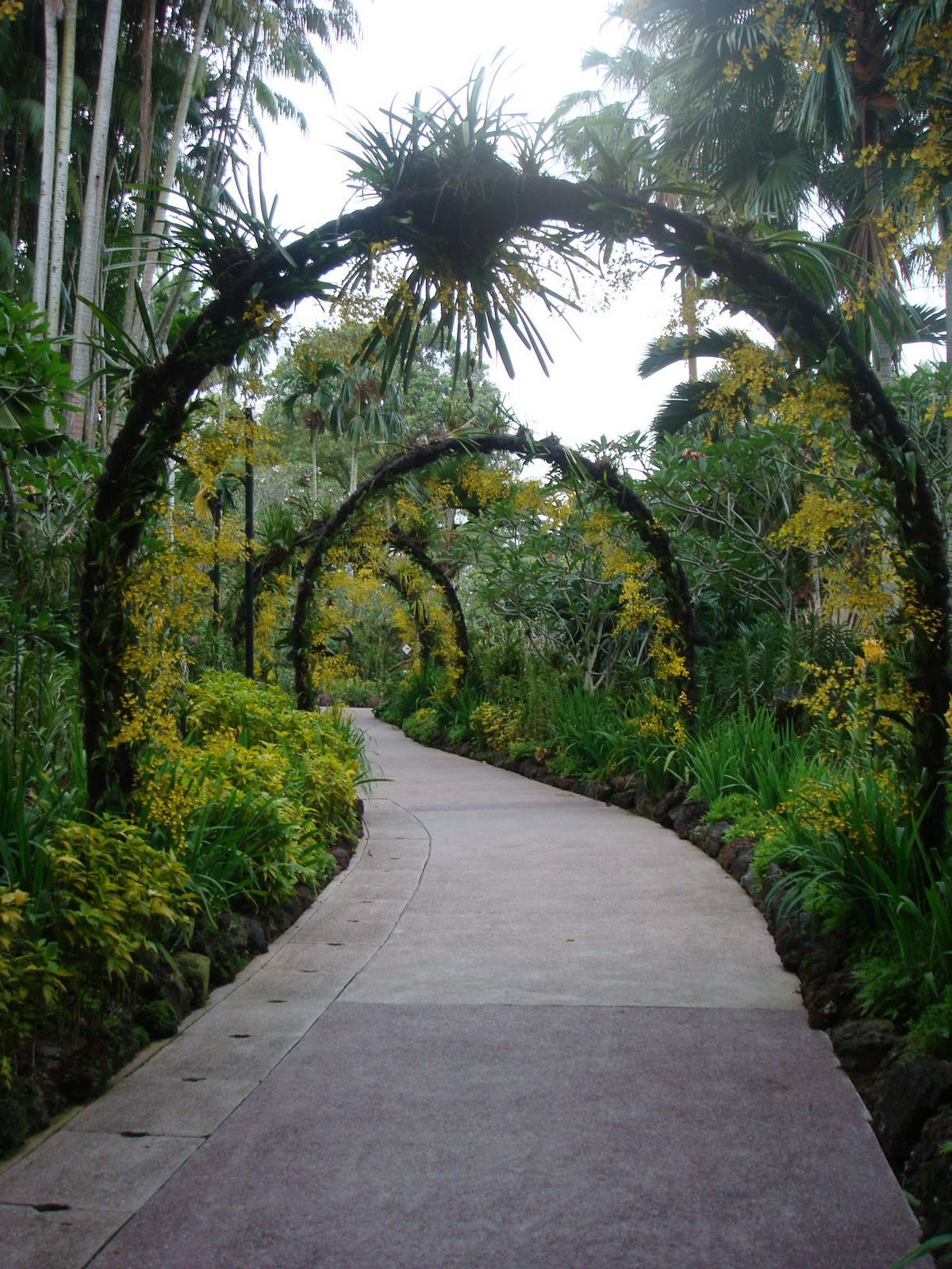 ECO AND NATURE.: Singapore Botanic Gardens