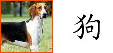 Chinese Zodiac Sign : Dog