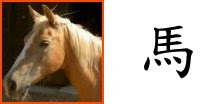 Chinese Zodiac Sign : Horse