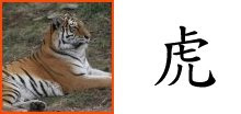 Chinese Zodiac Sign : Tiger