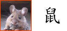 Chinese Zodiac Sign : Rat