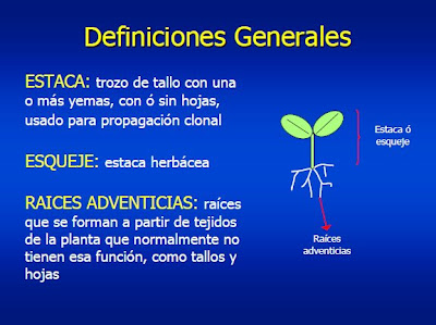 Imagen relacionada