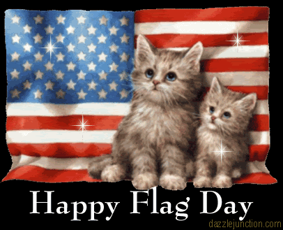 Image result for cat flag day