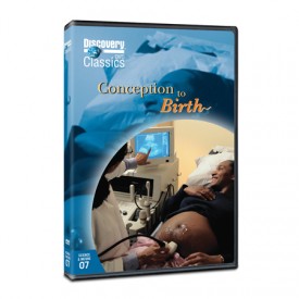 [00084828-505538_275.jpg]