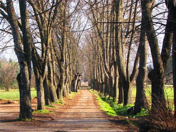 dating lebanese woman. It gives Lebanese people and maybe our women more so character not seen 