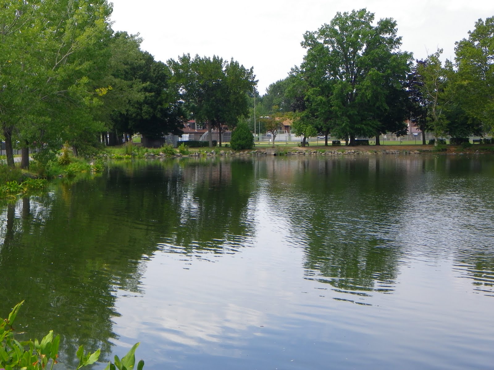 The Great Lakes of NYC Woodcliff Lake