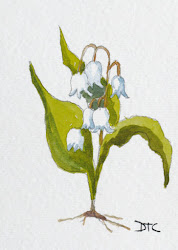 lily valley watercolor botanical painting flower paintings tattoo impressionist