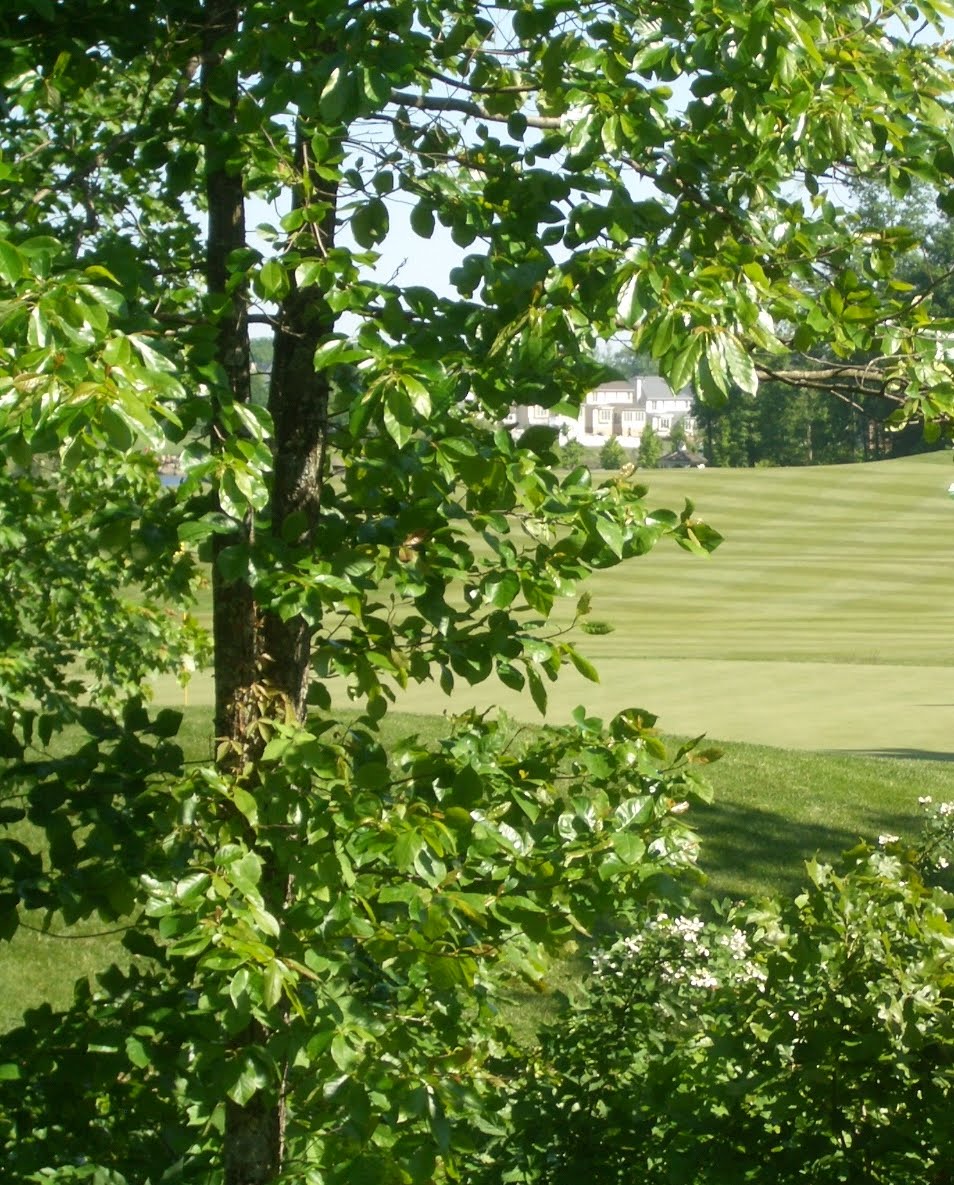 Belmont HOA Join the New Belmont