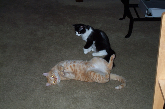 Squirt and Dude