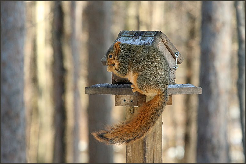 Kinder Gedichte Welt Die Zwei Wurzeln