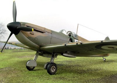 [spitfireibdt_1_1.jpg]