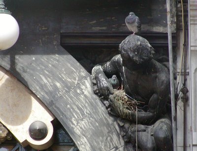 [brasileira+004.jpg]