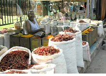 Red Hot Chilli Peppers on the Way to Jahaz Mahal