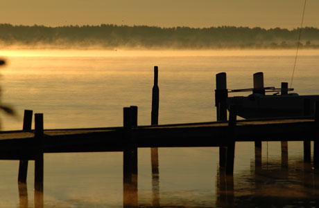 Naturbeobachtungen Am Steinhuder Meer Ein Service Der