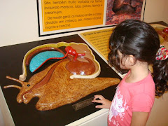 MUSEU DE ZOOLOGIA - USP (Museu dos Bichos) Ipiranga