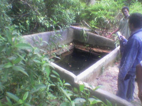 Sumur Jepang
