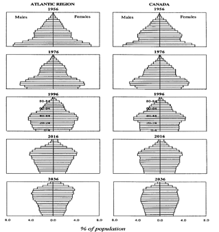 Re-Builiding Nature: Type of population pyramid shapes