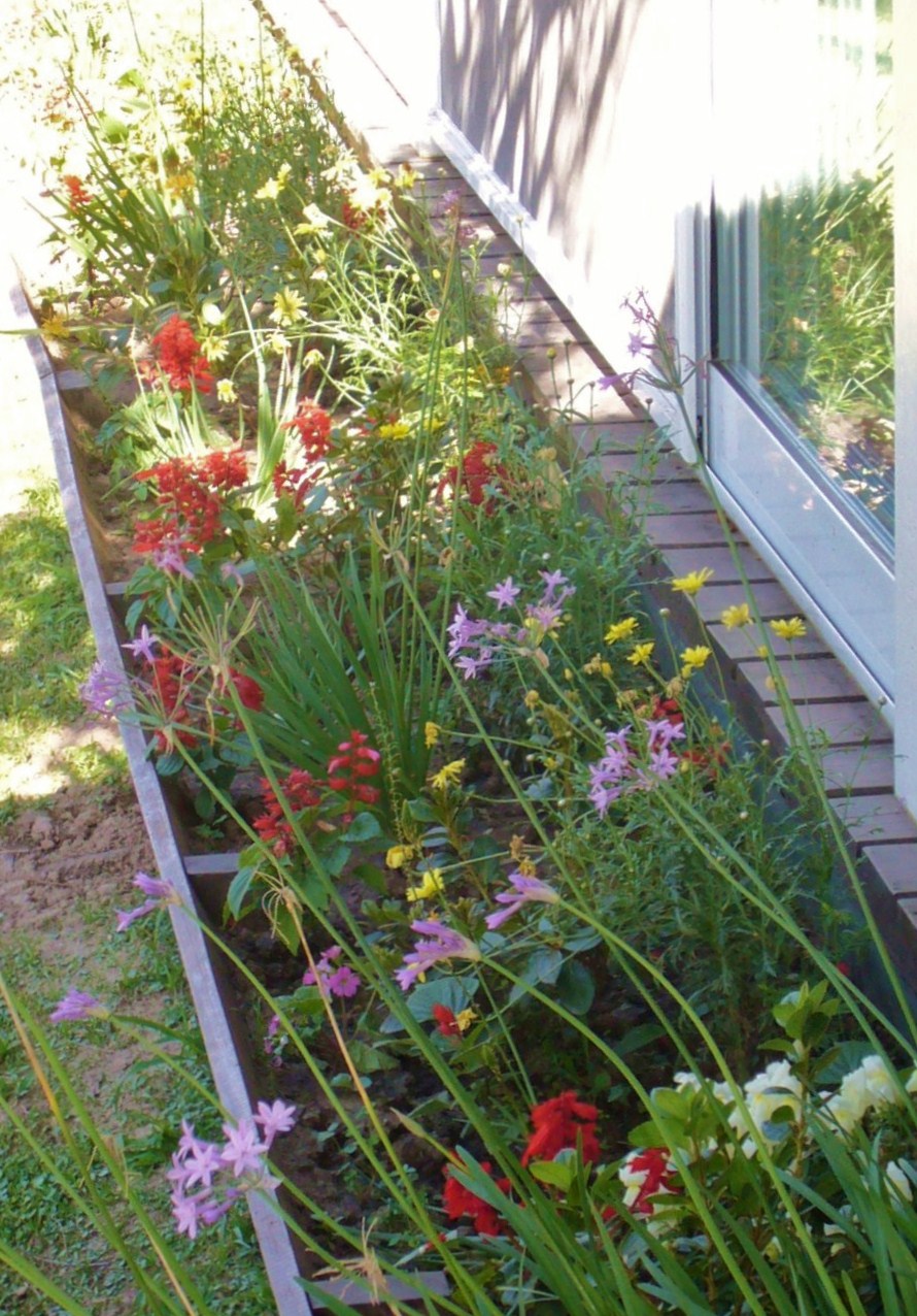 Plan V artesanías: El jardín...