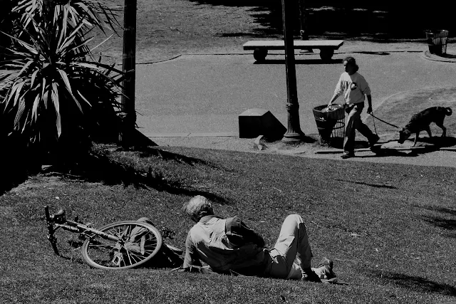 Ciudad.Persona descansando en el parque