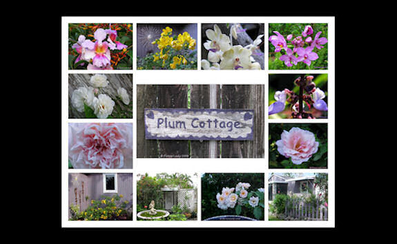 Plum Cottage Creations