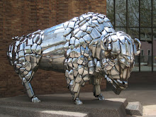 buffalo in downtown grand junction