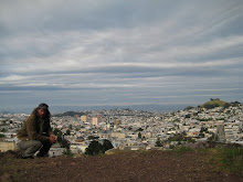 Overlooking San Francisco