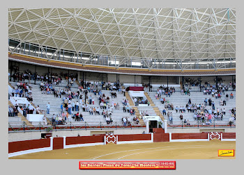 Plaza de Toros de Los Barrios