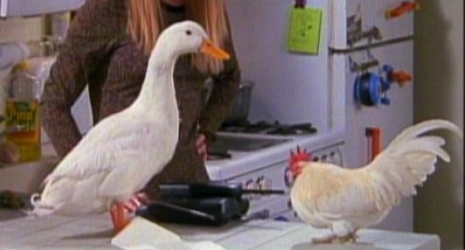 Image result for ducks and joey and chandler apartment