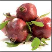 PAMEGRANATE POLYPHENOL