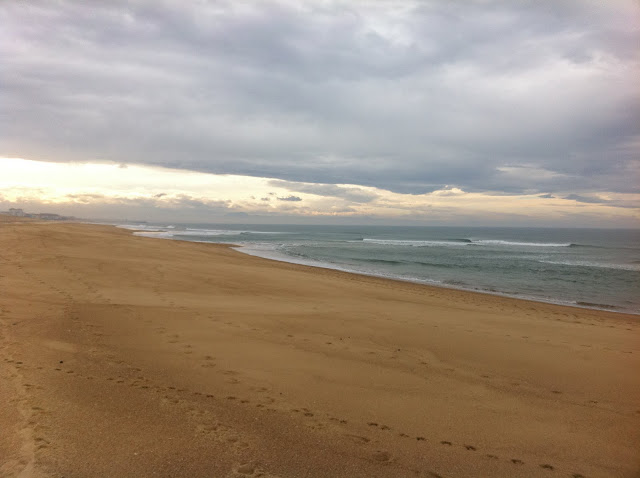 surf hossegor surfin estate blog surf culture