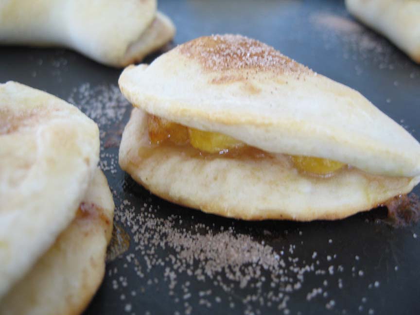 Bethany's Favorite Recipes Easy Biscuit Fruit Pies