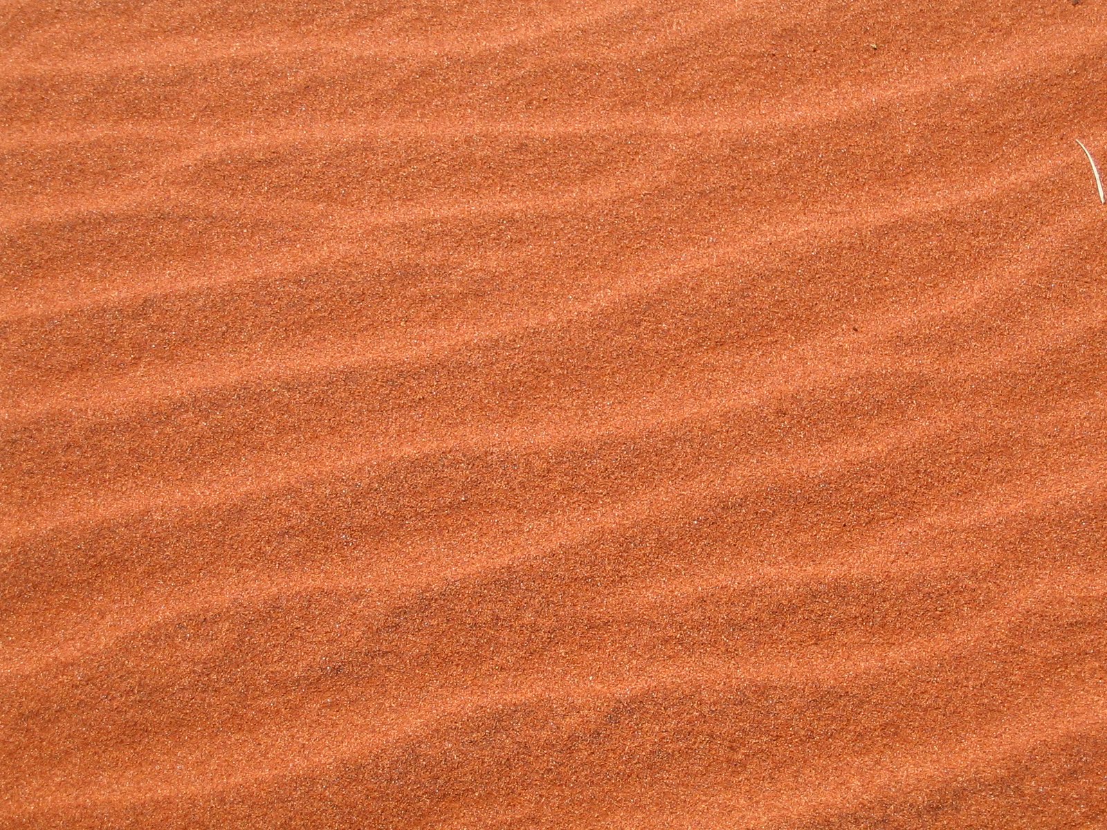 Design,voyages et photographies