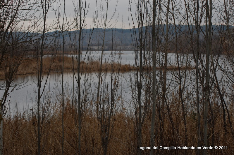 Hablando en verde Laguna del Campillo