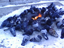 Pigeon Campfire