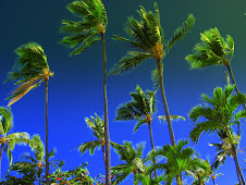 photo by Dianna Sabo