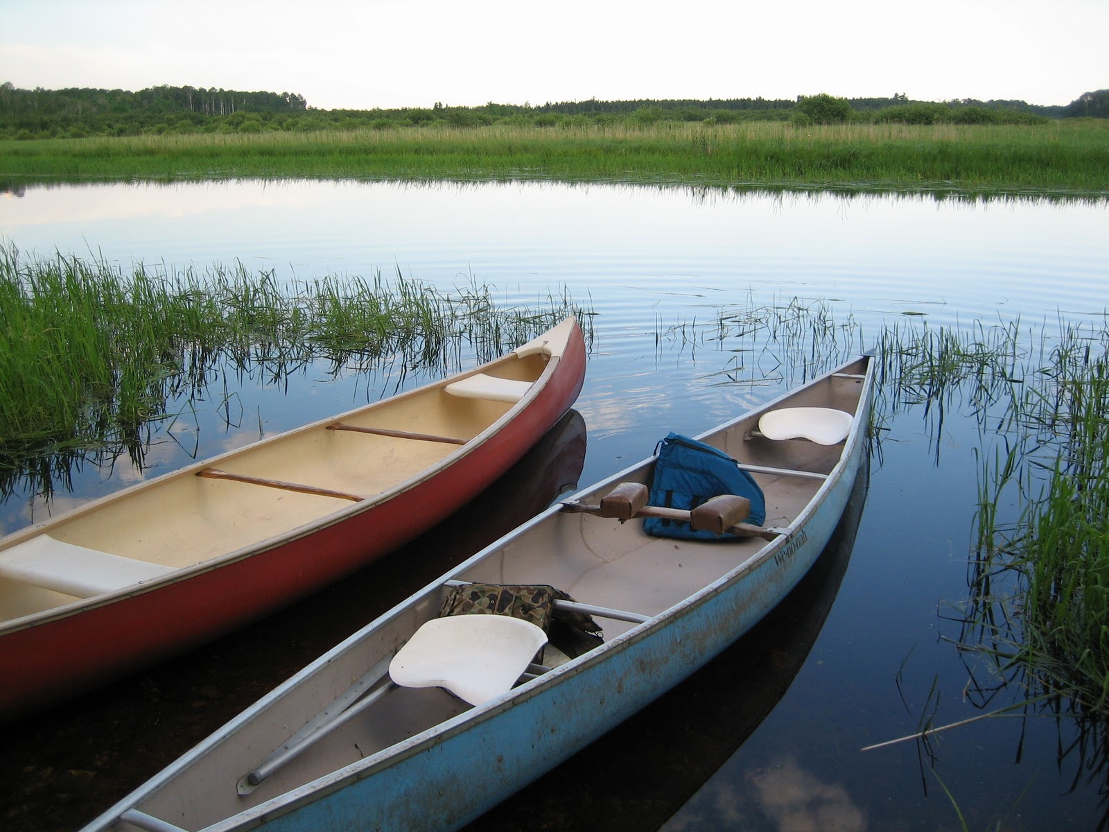 Wholesome Wisdom: End of Summer, Beginning of Fall