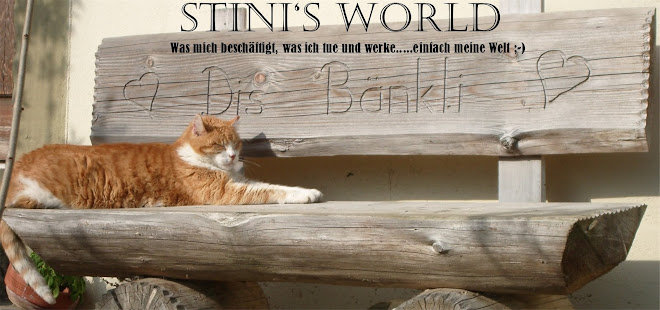 Stini's world