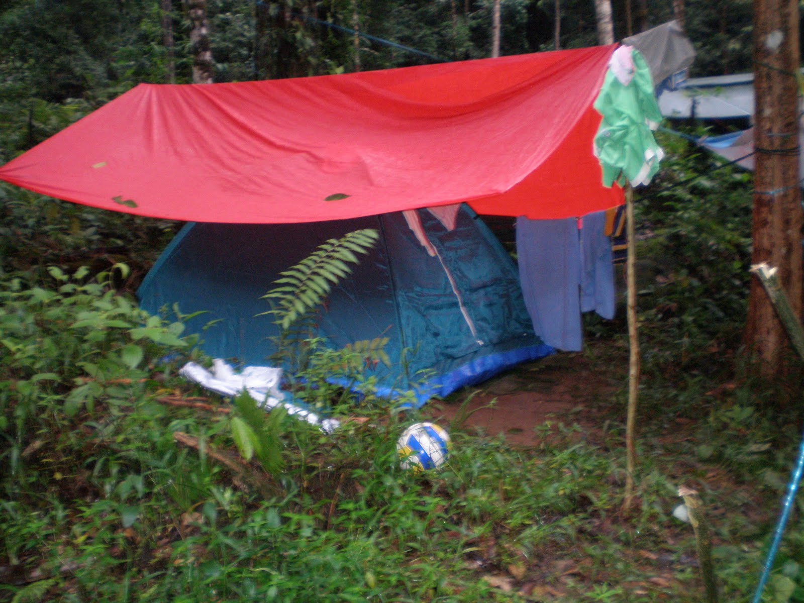 [P9200124.JPG]