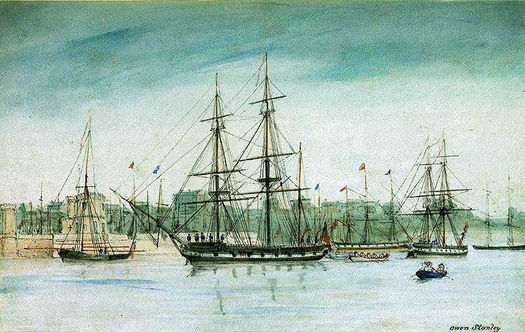 [HMSBeagle.jpg]