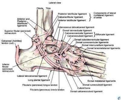 Central Florida Foot and Ankle Center's Guide To Running: Surgery for ...