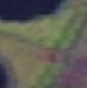 From this imagery (15 meter per pixels)
