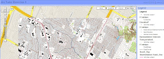 Cartographic Representations in Google Maps