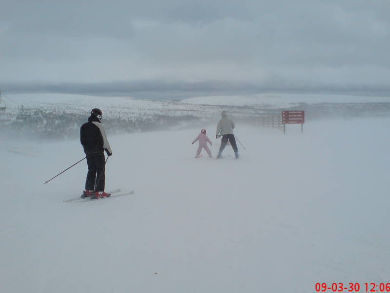 [image-upload-13-782541.jpg]