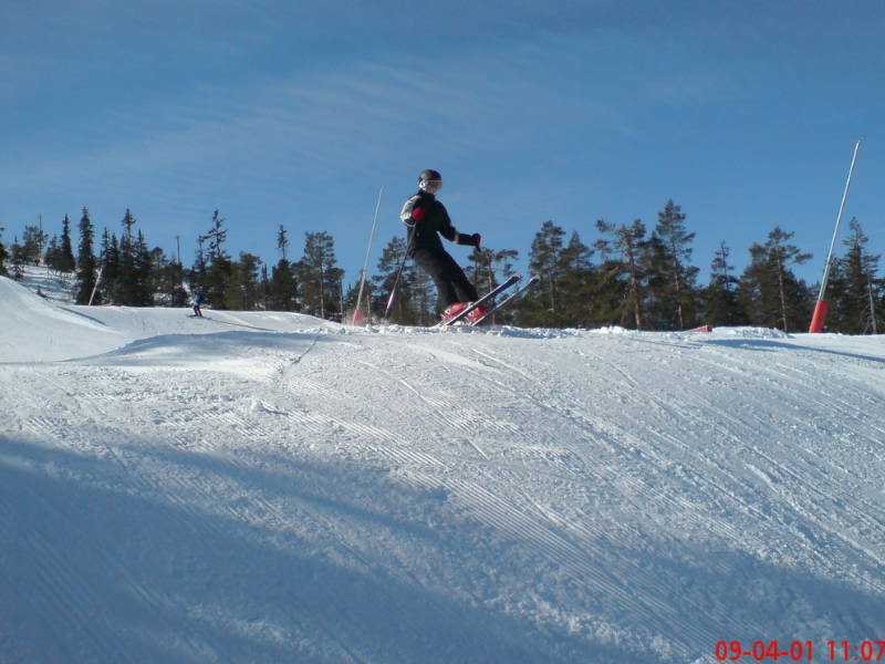 [image-upload-20-723524.jpg]