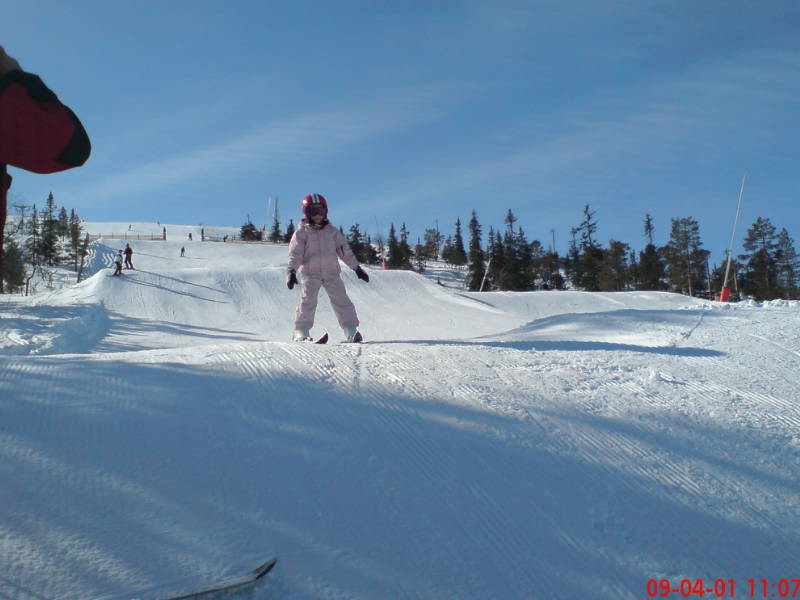 [image-upload-24-797593.jpg]