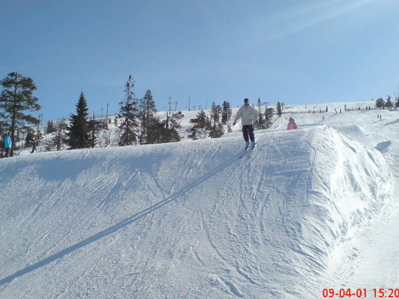 [image-upload-29-740645.jpg]