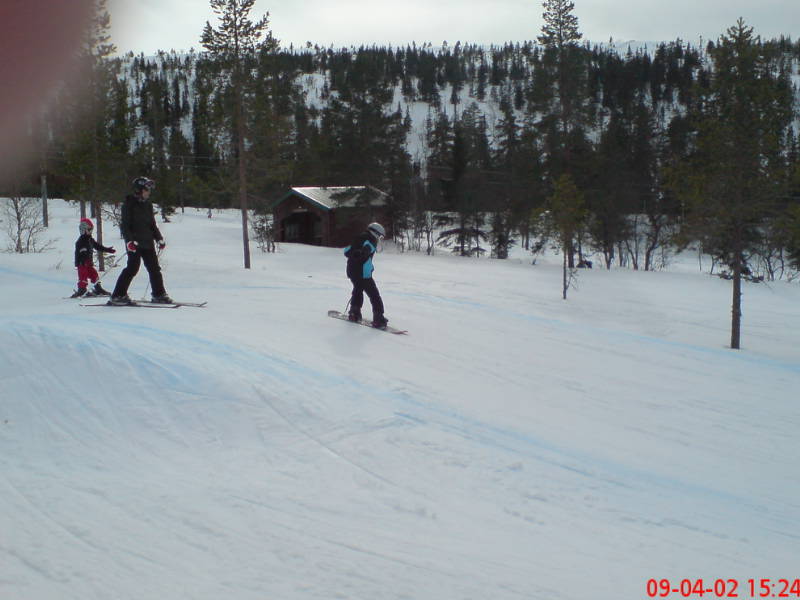 [image-upload-34-784343.jpg]