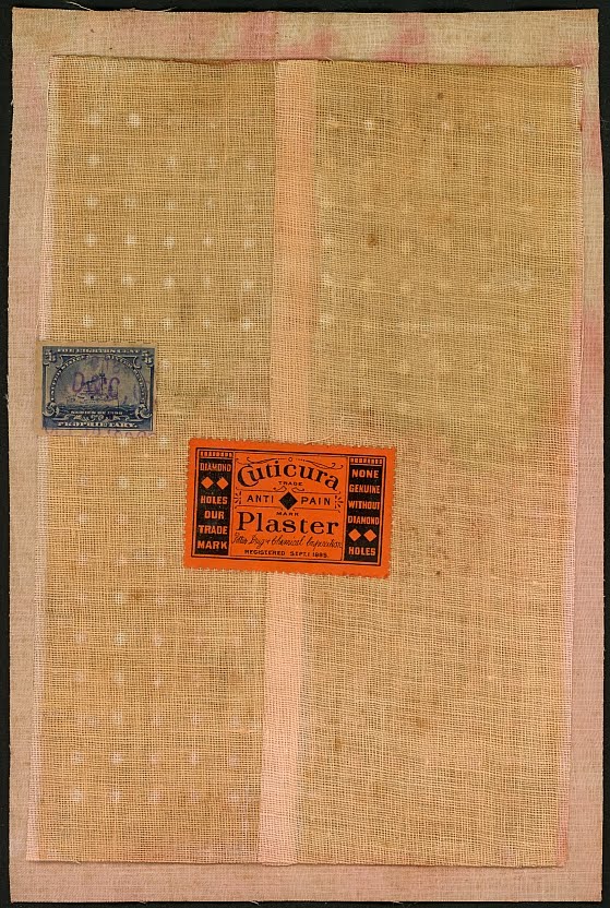 1898 Revenues The Potter Drug & Chemical Corporation