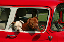 CHERRYHARLEY RESCUE PARTNERS TRANSPORTS
